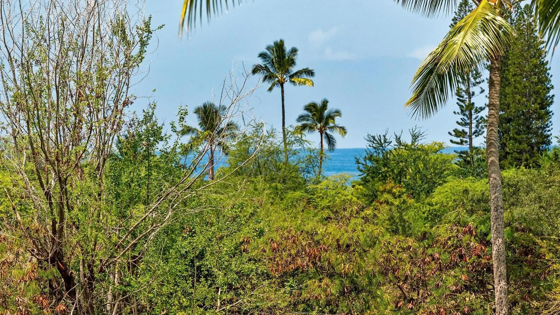 Keauhou Punahele#E-202 Kailua-Kona 0*,  United States