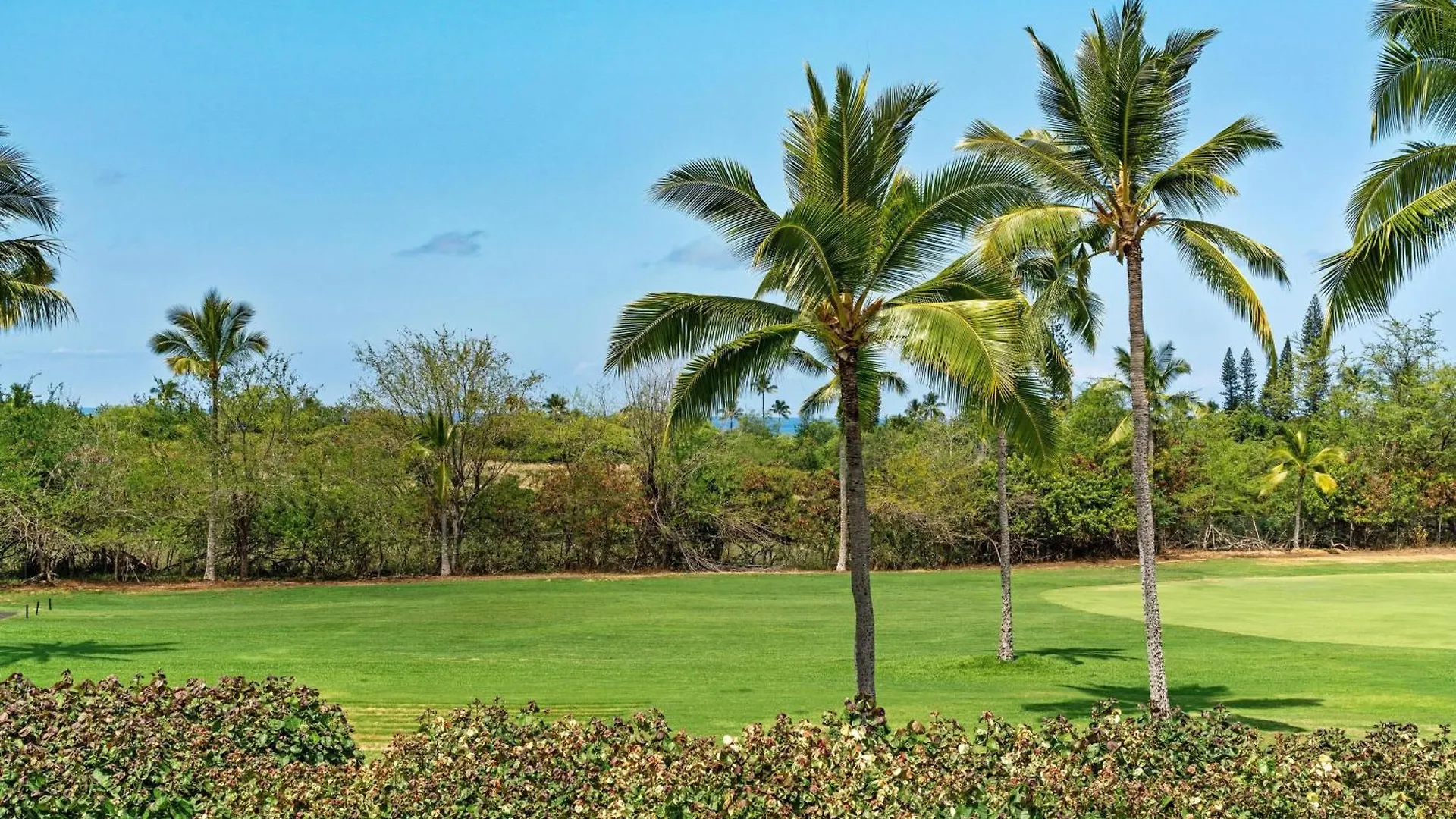 Holiday home Keauhou Punahele#E-202 Kailua-Kona